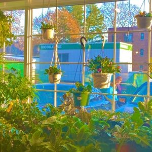 Meet your Posher, Ariana